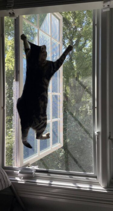 Moustiquaire Sur-Mesure (Plissée ou Enroulable) – NOVA-STORES