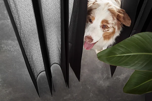 Store-Rideau Lightwave – NOVA-STORES