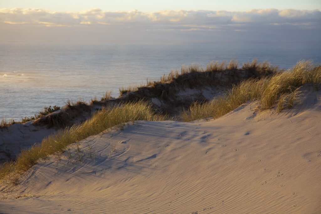 A beautiful shot of a sandy land with the beautiful sky on the background